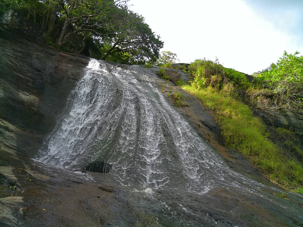 IMG-20220104-WA0051